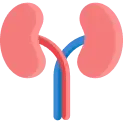 Kidney Disease