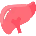 Liver Disease