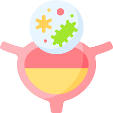Urinary Tract Disease