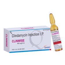 Clinycin 600mg Injection