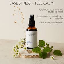 Peace + Natural Pain Reliever Tincture Natural 10ml