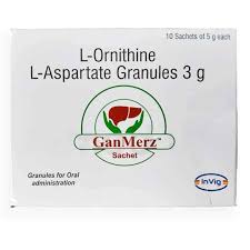 Ganmerz 5gm Sachet
