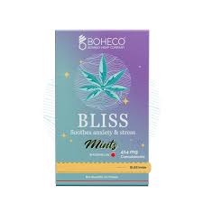 Bliss Soothes Anxiety & Stress Mint 10ml